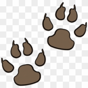 Dog Bear Paw - Clipart Dog Paws Png, Transparent Png - bear paw print png