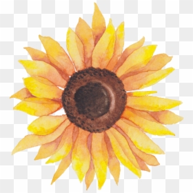 Svg Library Library Self Portraits Catherine Holmes - Watercolor Sunflower Transparent Background, HD Png Download - watercolor sunflower png