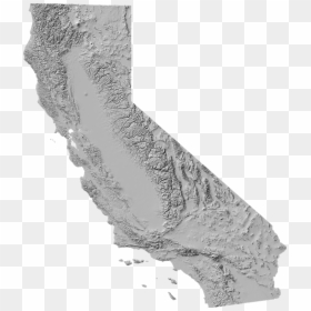 California Tree Seed Zones, HD Png Download - white lace pattern png