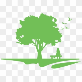 Cms Logo With No Text - Jan A Lice, HD Png Download - lincoln memorial png