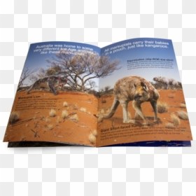 The Ice Age Big Book With Cd"     Data Rimg="lazy"  - Sahara, HD Png Download - ice age png