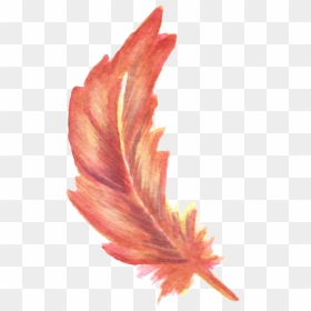 Watercolor Painting Red Transprent - Transparent Background Fall Feathers Watercolor Png, Png Download - watercolor feather png
