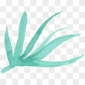 Transparent Feather - Transparent Background Watercolor Leaves Png, Png Download - watercolor feather png