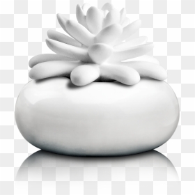 White Lotus - Porcelain Oil Diffuser, HD Png Download - white lotus png