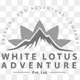White Lotus Png, Transparent Png - white lotus png