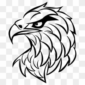Eagle Tattoo Transparent - Eagle Face Drawing Tattoo, HD Png Download - eye tattoo png
