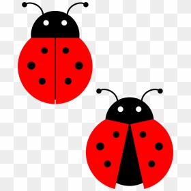 Collection Of Free Ladybugs Transparent Background - Clip Art Ladybug, HD Png Download - cute ladybug png