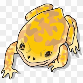 Jungle Clipart Frog - Yellow Clipart Frog, HD Png Download - cartoon frog png