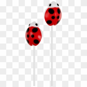 Ladybug, HD Png Download - cute ladybug png