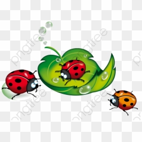 Ladybug Clipart Vintage - Transparent Background Ladybugs Clip Art, HD Png Download - cute ladybug png