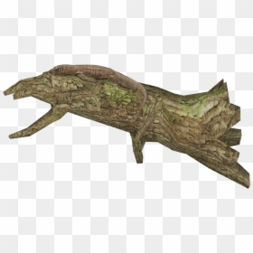 Transparent Komodo Dragon Png - Alligator Lizard, Png Download - komodo dragon png