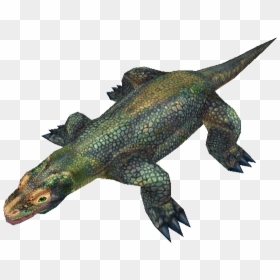 Alligator, HD Png Download - komodo dragon png
