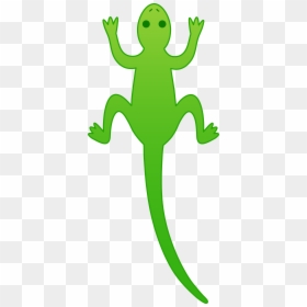 Komodo Dragon Clipart Reptile - Lizard Clip Art, HD Png Download - komodo dragon png