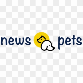 Clip Art, HD Png Download - komodo dragon png