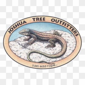 Alligator Lizard, HD Png Download - komodo dragon png