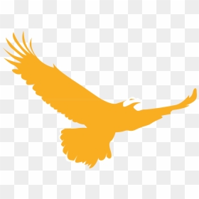 Golden Eagle Clipart Native American, HD Png Download - golden eagle png