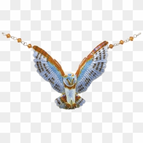 Transparent Barn Owl Png - Golden Eagle, Png Download - golden eagle png