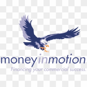Golden Eagle , Png Download - Money In Motion, Transparent Png - golden eagle png