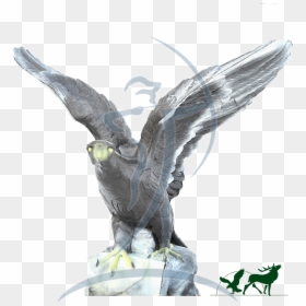 Leitold 3d-target Golden Eagle - Buzzard, HD Png Download - golden eagle png