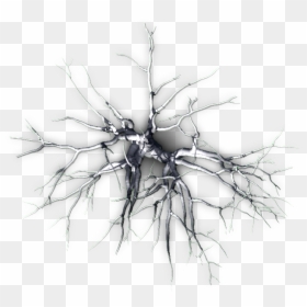 Dead Tree From Above, HD Png Download - winter trees png