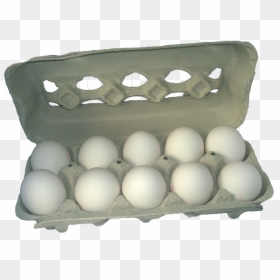 Carton Of Eggs Transparent, HD Png Download - egg carton png