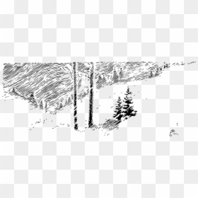Transparent Snowy Trees Png - Winter Trees Clip Art, Png Download - winter trees png