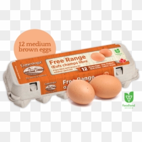 Freerange Lrg Min - Free Range Eggs Png, Transparent Png - egg carton png