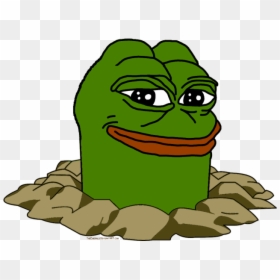 Pepe The Frog Coloring Book Sticker Amazon - Pepe Png Transparent, Png Download - pepe head png