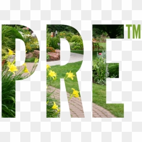 Pre Logo - Landscaping, HD Png Download - groundcover png