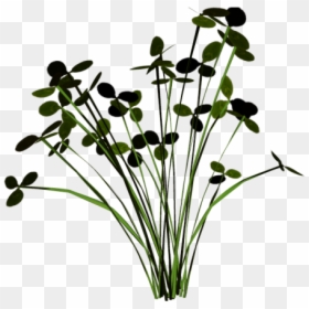 #grass #groundcover #scenery #terrieasterly - Buttercup, HD Png Download - groundcover png
