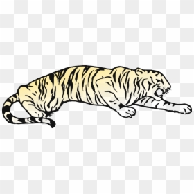 Whiskers Cat Golden Tiger Bear Bengal Tiger - Tiger Pouncing Coloring Pages, HD Png Download - bengal tiger png