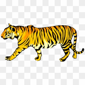 Vector Illustration Of Royal Bengal Tiger From From - Royal Bengal Tiger Clipart, HD Png Download - bengal tiger png