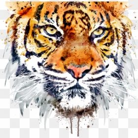 Tiger Painting Black And White, HD Png Download - bengal tiger png