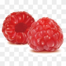 Raspberry Drawing Blackberry Fruit - Raspberry Fruit Vector, HD Png Download - pacman fruit png