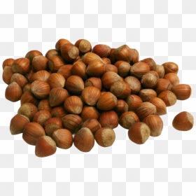 Hazelnut - Hazelnut In Png, Transparent Png - hazelnut png