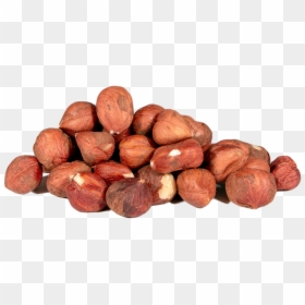 Hazelnuts, Barcelona, Whole, Raw"  Class= - Hazelnut Whole Raw, HD Png Download - hazelnut png