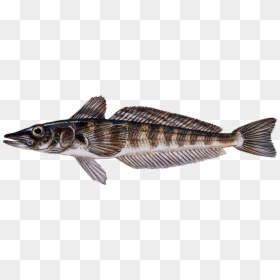 Swedish Fish Png, Transparent Png - swedish fish png