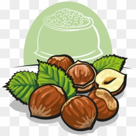 Stock Photography Others Transprent, HD Png Download - hazelnut png
