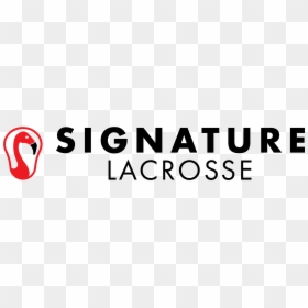 Proyecto Integra, HD Png Download - lacrosse ball png