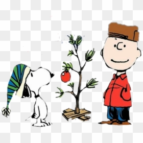 Charlie Brown Christmas Wallpaper Desktop, HD Png Download - charlie brown christmas png