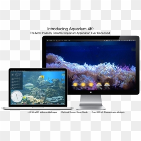 Aquarium 4k Live Wallpaper 1.0 1 Mac, HD Png Download - 4k png wallpaper