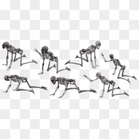 Skeleton, Skull, Halloween, Human, Isolated, Scary - Human Skeleton Crawling, HD Png Download - spooky skeleton png