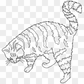 Ginger Cat - Outline Cat Line Art, HD Png Download - cat outline png