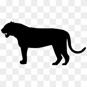 Tiger, Predator, Cat, Big Cat, Felidae, Siberian - Tiger Silhouette Png, Transparent Png - cat outline png