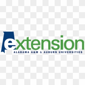 Alabama Extension, HD Png Download - alabama outline png