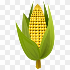 Medium Image Png - Small Picture Of Corn, Transparent Png - corn clipart png