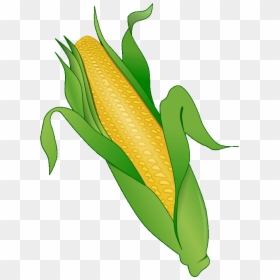 Corn Clipart Png Corn Clipart - Corn On The Cob, Transparent Png - corn clipart png
