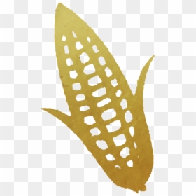 Corn Clipart Silhouette - Midwest Farmers Coop, HD Png Download - corn clipart png