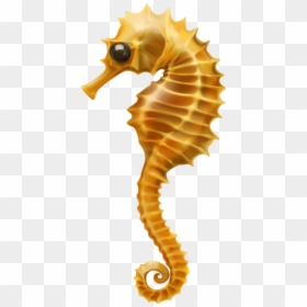 Seahorse Clip Art - Clipart Coral Reef Fish Seahorse, HD Png Download - sea horse png