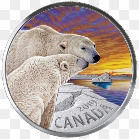2019 Bear Canada Coin, HD Png Download - silver coin png